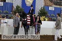 11r12_7855 proof