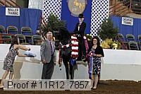 11r12_7857 proof