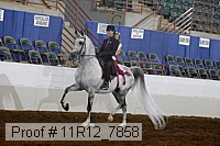 11r12_7858 proof