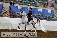 11r12_7859 proof