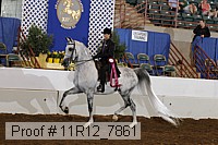 11r12_7861 proof