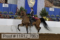 11r12_7863 proof
