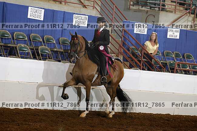 Proof 11r12_7865