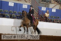 11r12_7865 proof