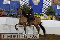 11r12_7867 proof
