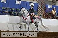11r12_7871 proof