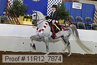11r12_7874 proof