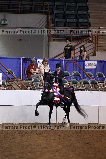 Proof 11r12_7877