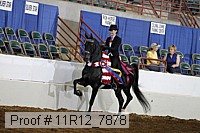 11r12_7878 proof