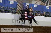 11r12_7880 proof