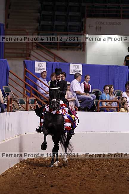 Proof 11r12_7881