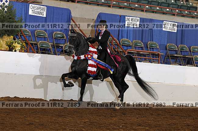 Proof 11r12_7883