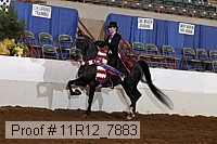 11r12_7883 proof