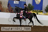 11r12_7885 proof