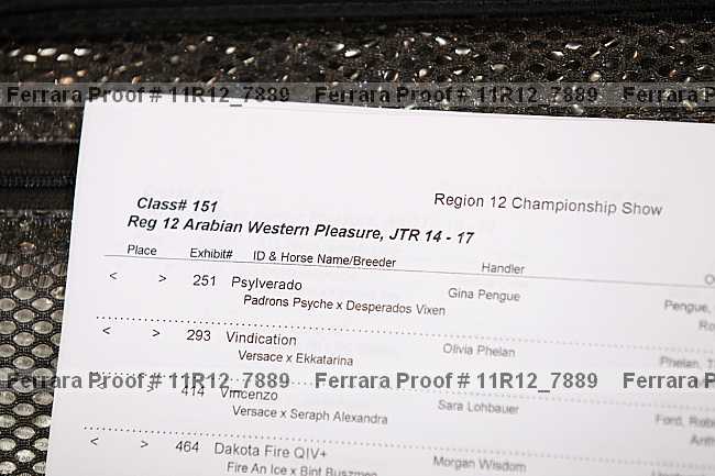 Proof 11r12_7889