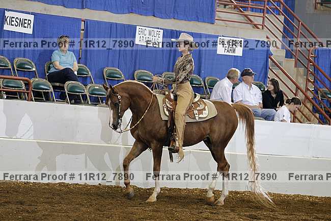 Proof 11r12_7890
