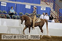 11r12_7890 proof