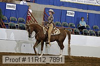 11r12_7891 proof