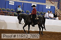 11r12_7892 proof