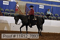 11r12_7893 proof