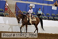 11r12_7894 proof