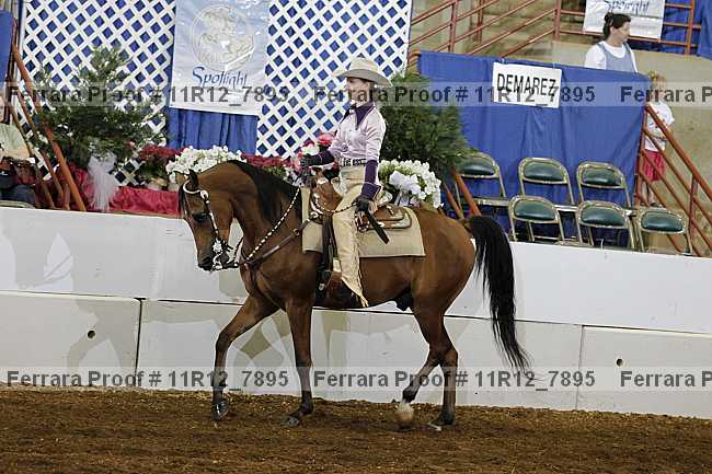 Proof 11r12_7895