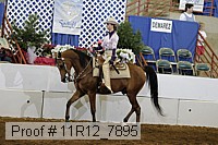 11r12_7895 proof