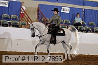 11r12_7896 proof
