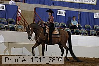 11r12_7897 proof
