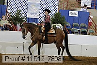 11r12_7898 proof
