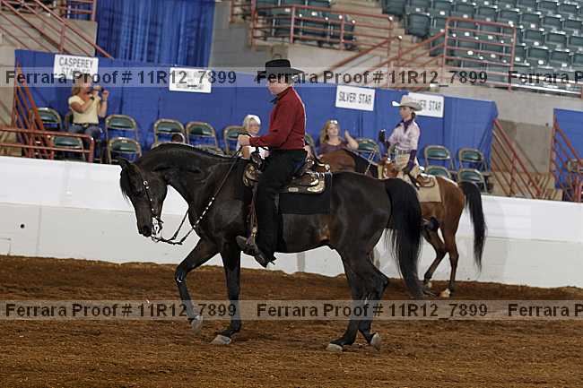 Proof 11r12_7899