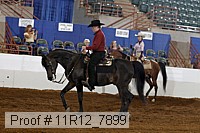 11r12_7899 proof