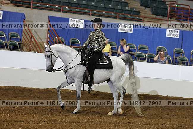 Proof 11r12_7902