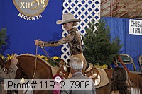 11r12_7906 proof