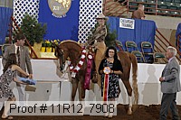 11r12_7908 proof