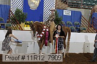 11r12_7909 proof