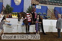 11r12_7923 proof
