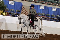 11r12_7932 proof