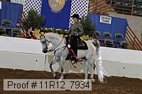 11r12_7934 proof