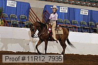 11r12_7935 proof
