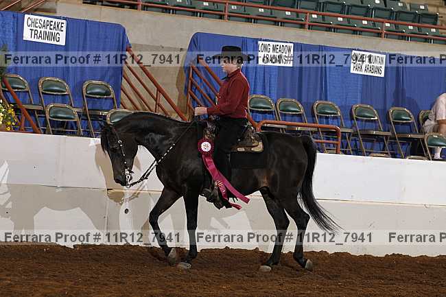 Proof 11r12_7941
