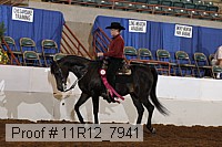 11r12_7941 proof
