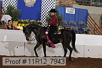 11r12_7943 proof