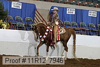 11r12_7946 proof