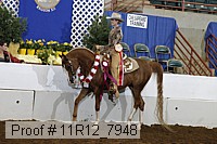 11r12_7948 proof