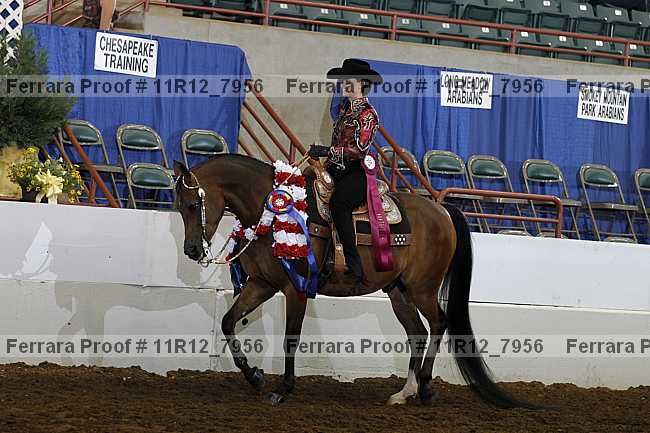 Proof 11r12_7956