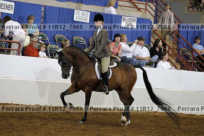 Proof 11r12_7968
