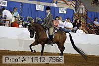 11r12_7968 proof
