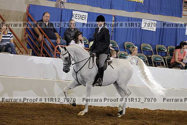 Proof 11r12_7970