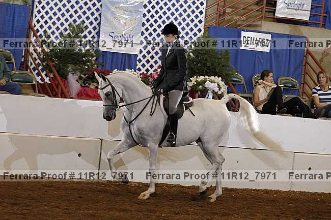 Proof 11r12_7971